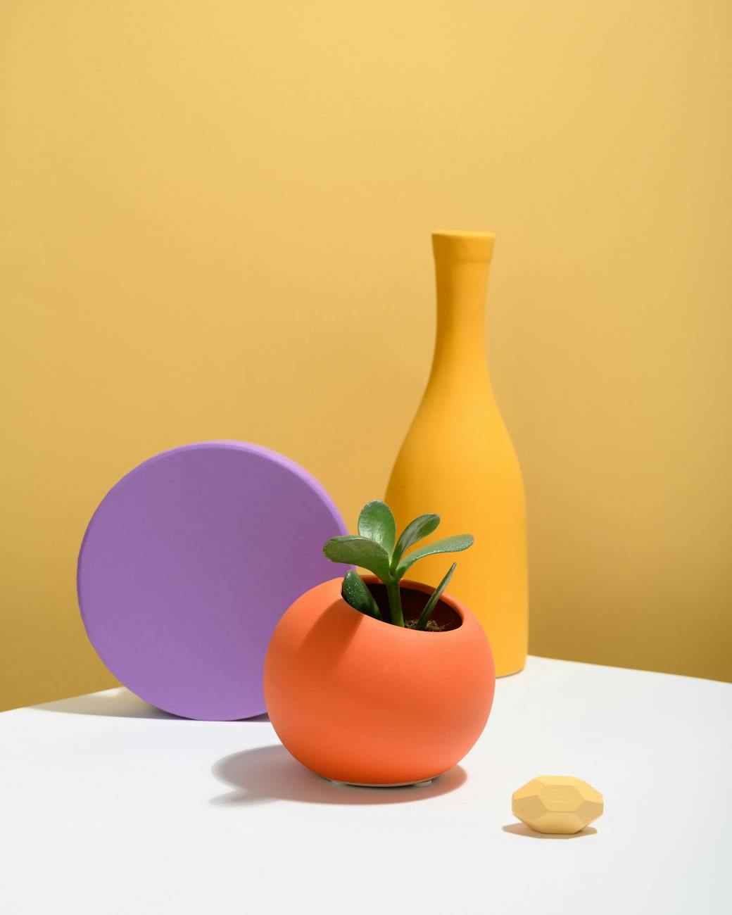 photo of succulent plant on orange ball shaped pot